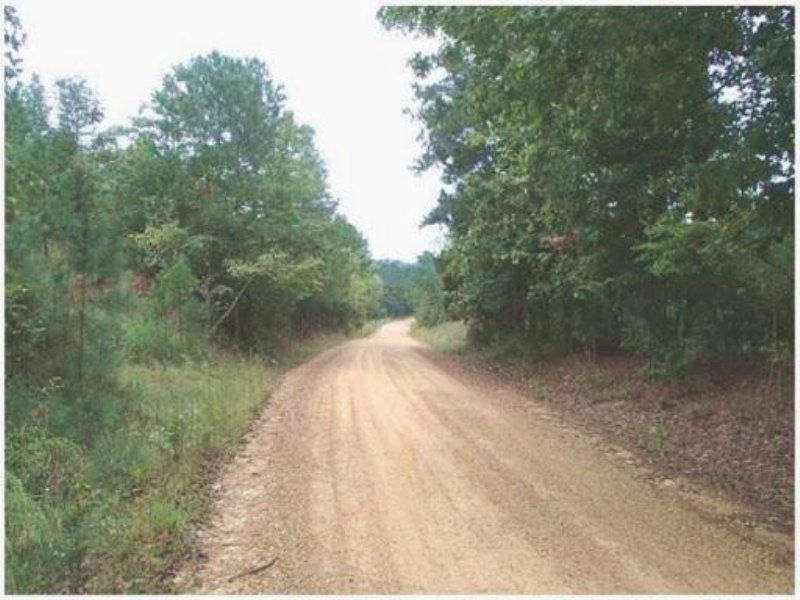 55.9 Acres in Choctaw County, Missi : Mccool : Choctaw County : Mississippi