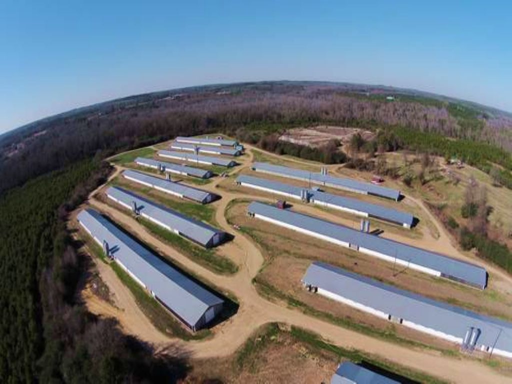12-house Broiler Farm : Reform : Pickens County : Alabama
