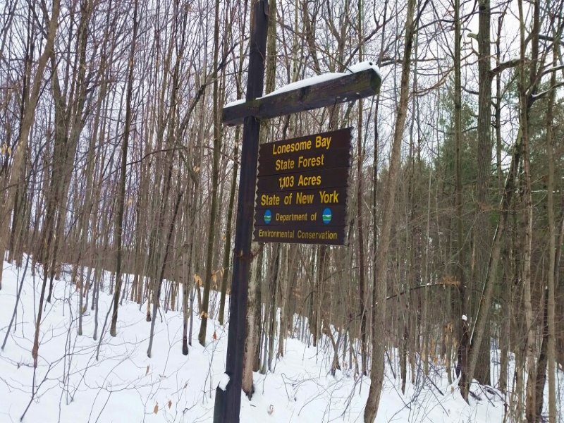 Land Borders State Forest 2 Sides : Hammond : Saint Lawrence County : New York