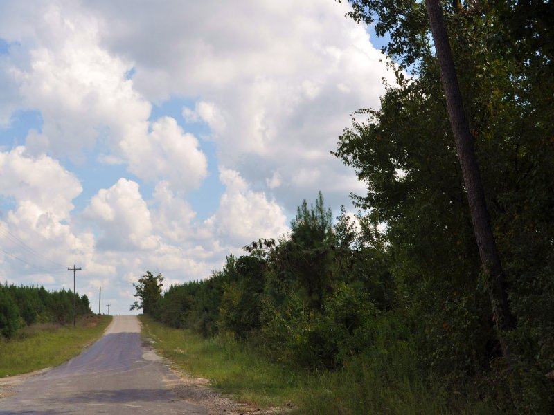 188 Ac Upper Leggett Road : Livingston : Polk County : Texas