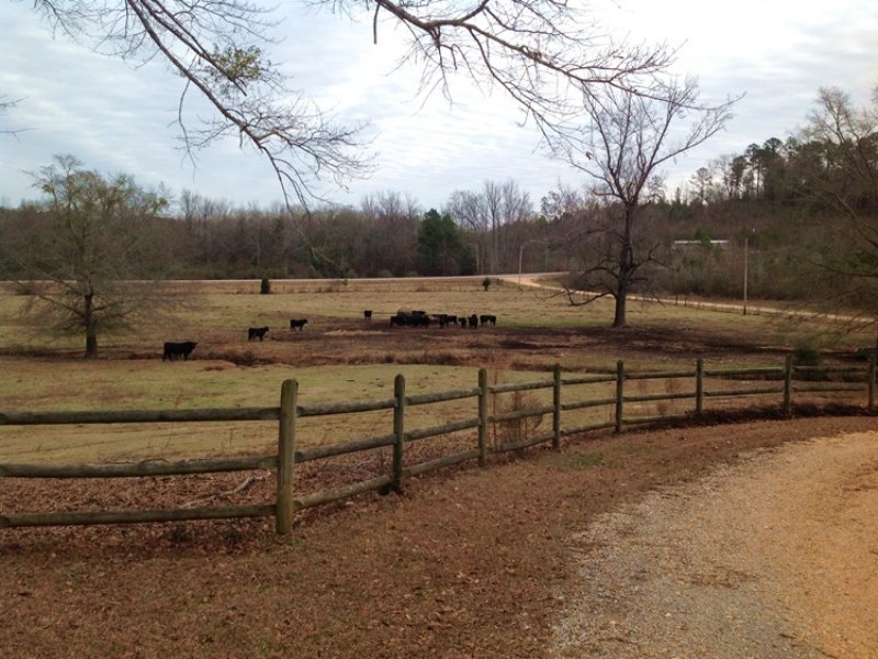 Friendship Road Farm, Farm for Sale in Alabama, 84641 FARMFLIP