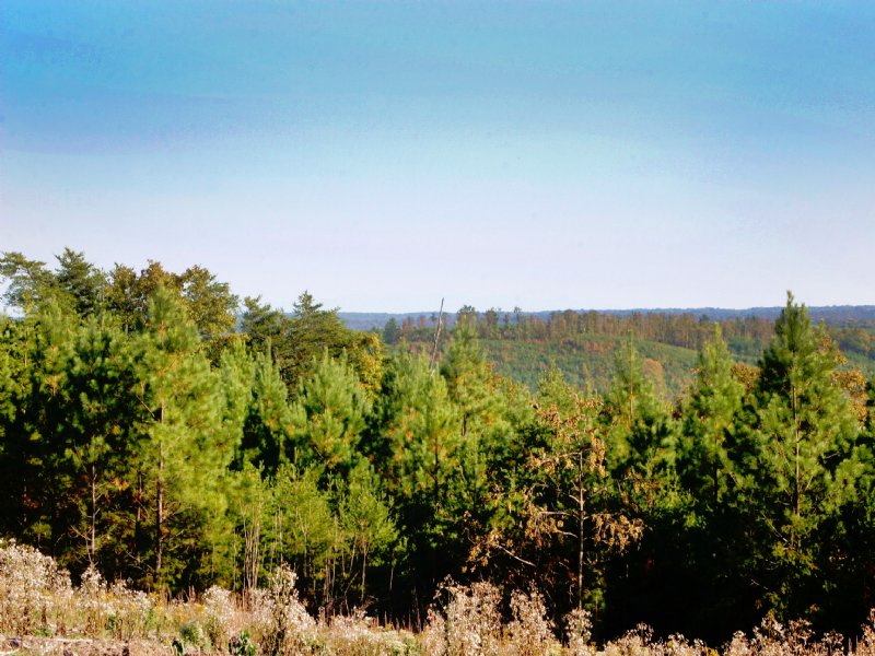 Signal Large Mtn. Acreage Farm for Sale in Dunlap, Sequatchie County