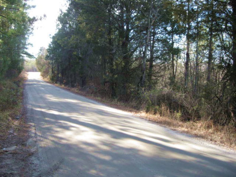 Conservative Acres : Cumberland : Cumberland County : Virginia