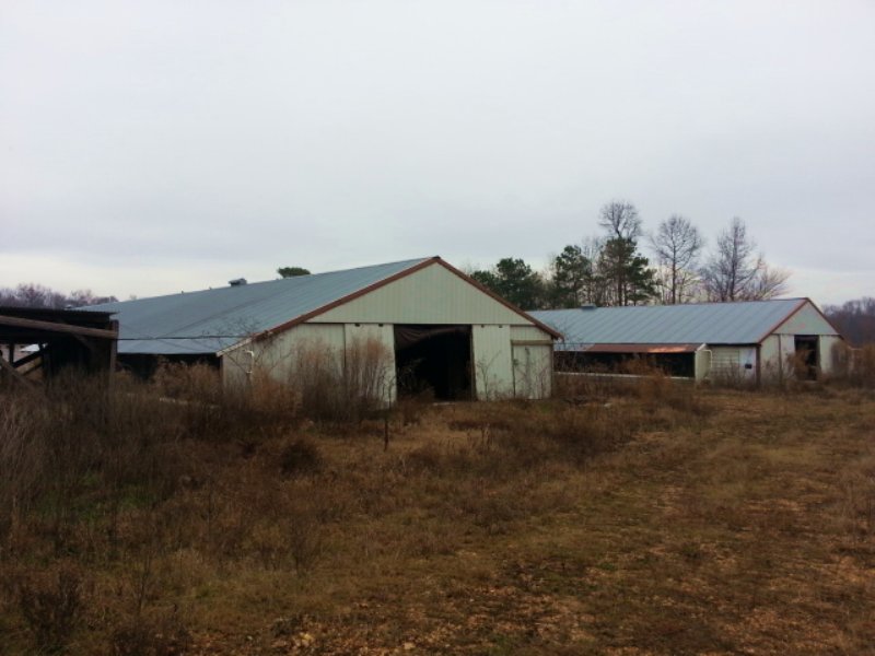 Four House Poultry Farm : Phil Campbell : Franklin County : Alabama