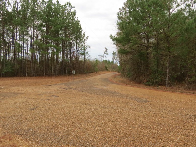 39 Acres In Wesson Farm for Sale in Wesson, Copiah County