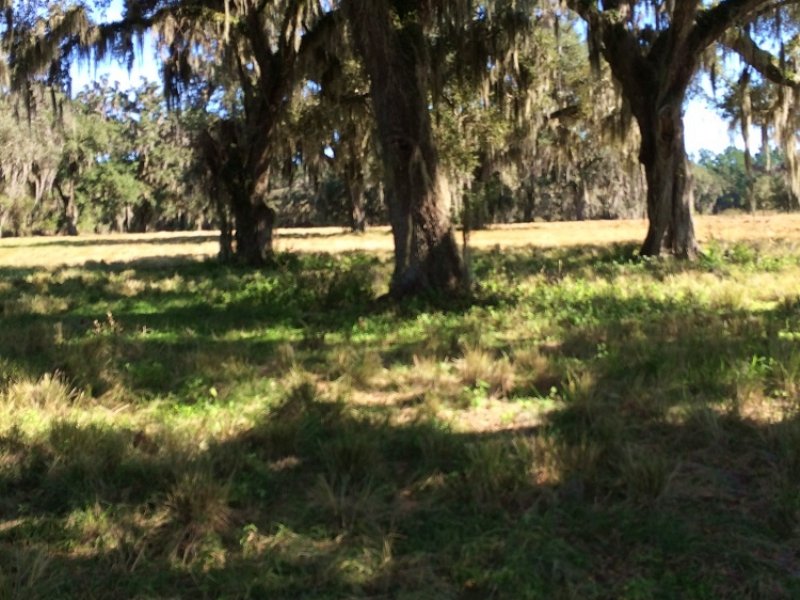 Absolutely Gorgeous 89 Acres : Brooksville : Hernando County : Florida
