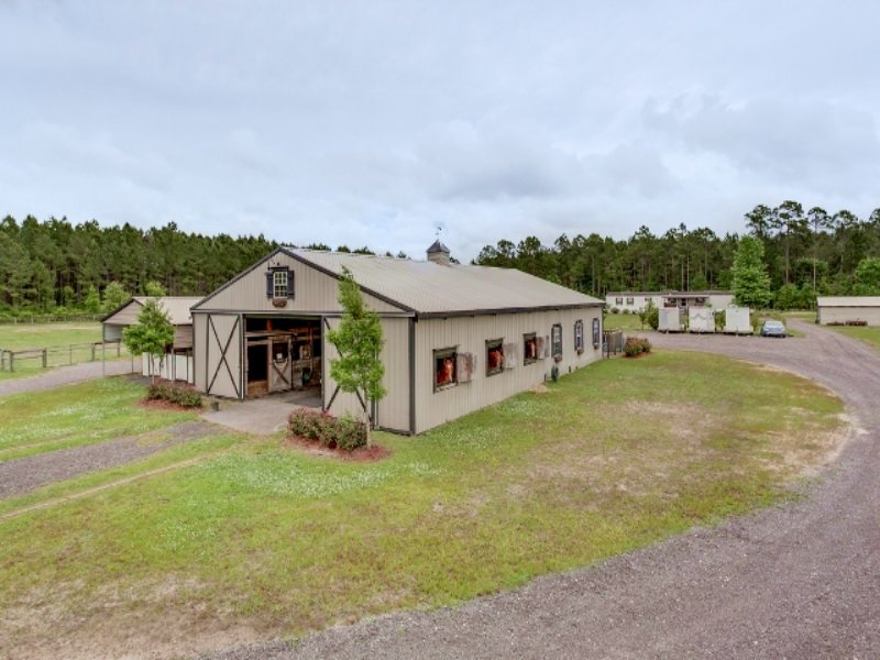 Beautiful Horse Farm, Callahan Fl : Callahan : Nassau County : Florida