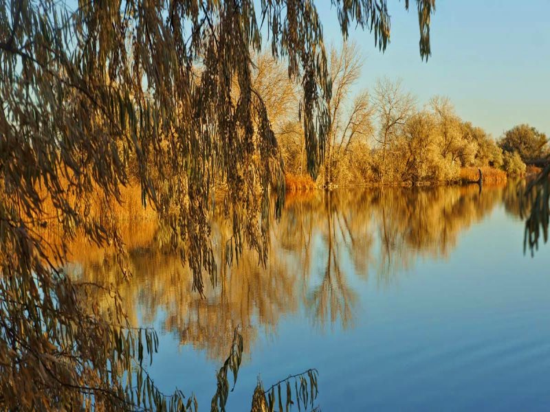 Packer Lake Farm : Torrington : Goshen County : Wyoming