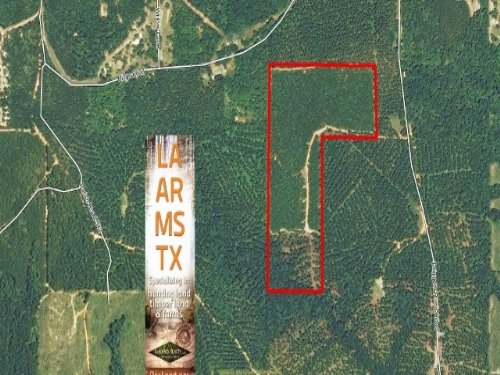 37 Acres Minerals Land, Timber : Saline : Bienville Parish : Louisiana