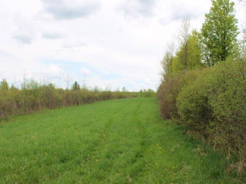Farmland Build Your Home Farm : Root : Montgomery County : New York