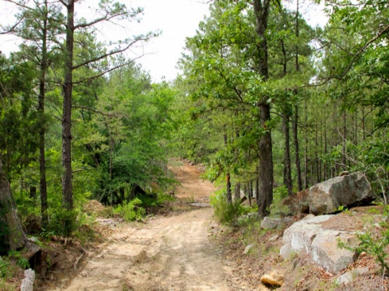10.67 Acre Trophy Ridge Iii : McAlester : Pushmataha County : Oklahoma