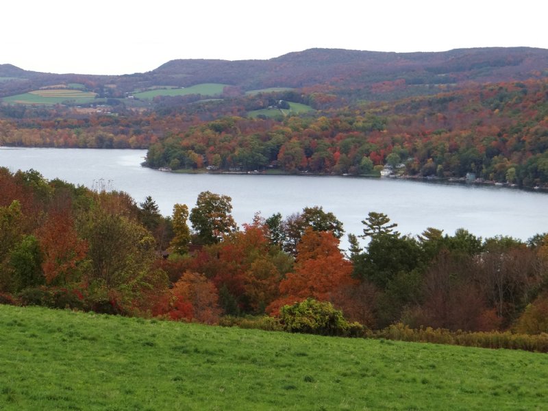 Large Acreage Near Cooperstown, Farm for Sale in New York, 85739