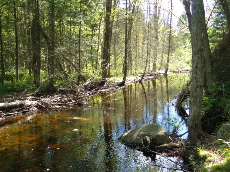75 Acres Oppenheim Ny Trout Stream : Oppenheim : Fulton County : New York