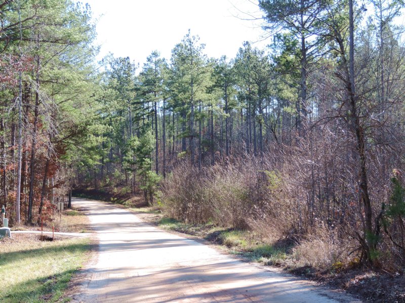 Cherry Grove Tract : Ball Ground : Cherokee County : Georgia