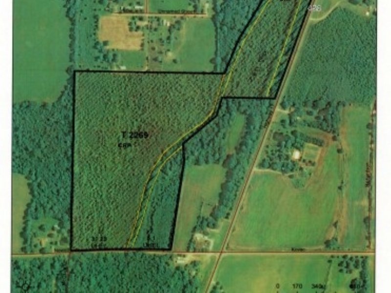 52.68 Acres Hunting Land, CRP Farm for Sale in Kilbourne, West Carroll Parish, Louisiana