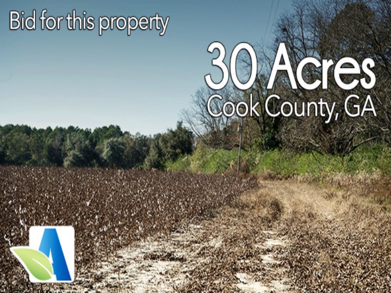 30 Ac Property Land Auction, Farm for Sale in 85922