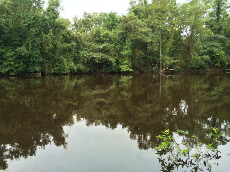Clark Tract Cape Fear River : Wilmington : Pender County : North Carolina