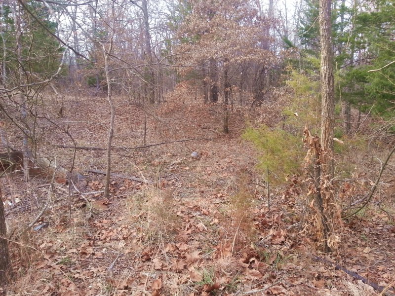 30 Recreational/hunting Acres : Powderly : Lamar County : Texas