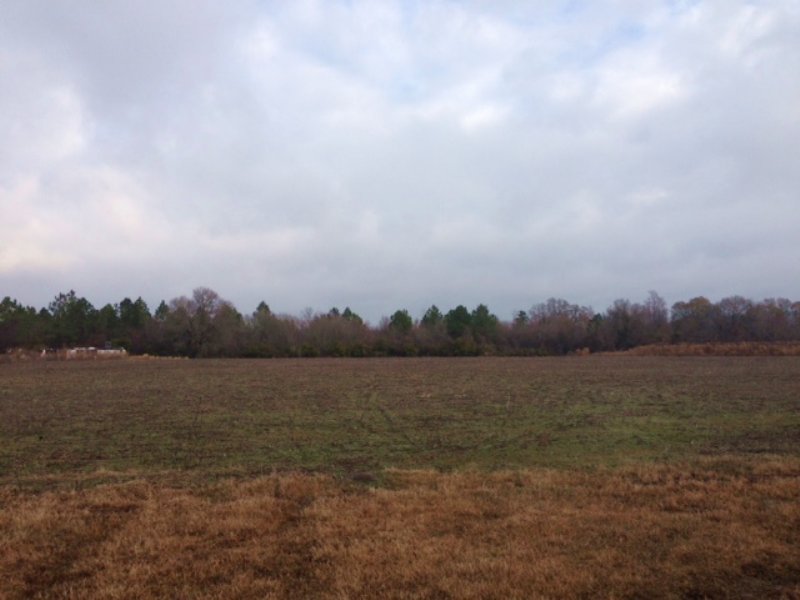 Gentleman Farm with Cultivation, Farm for Sale in 86218