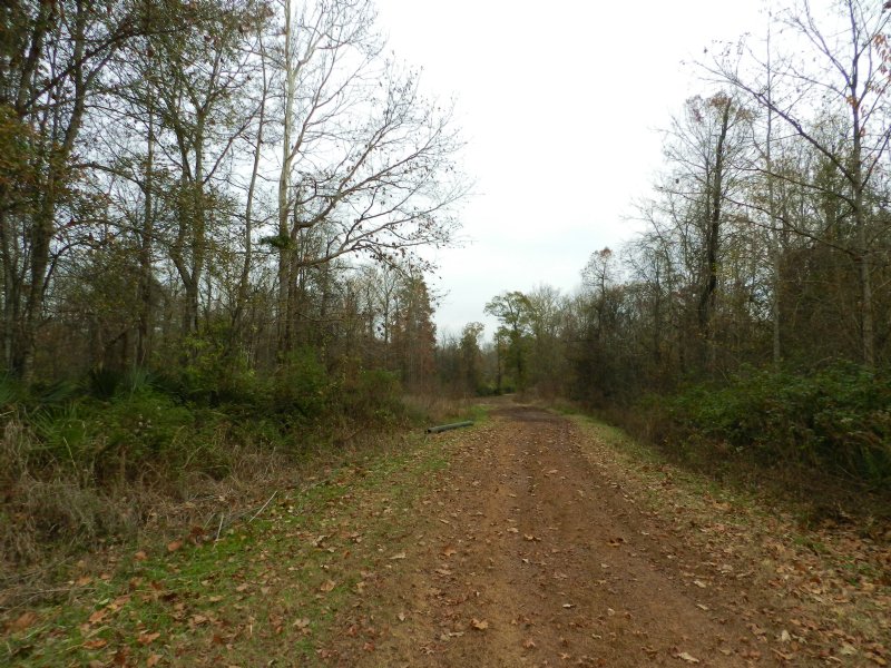 95 Acres Near Evergreen : Evergreen : Avoyelles Parish : Louisiana