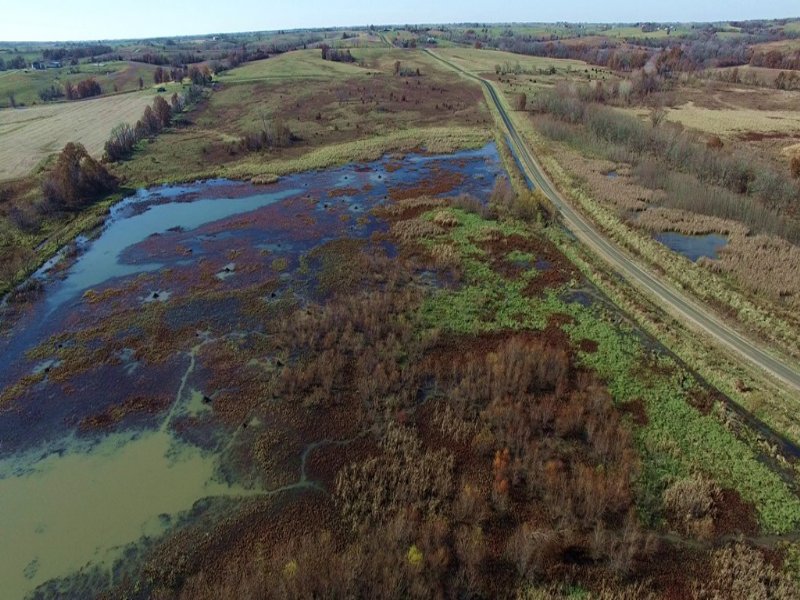 65 Acres : New Boston : Linn County : Missouri