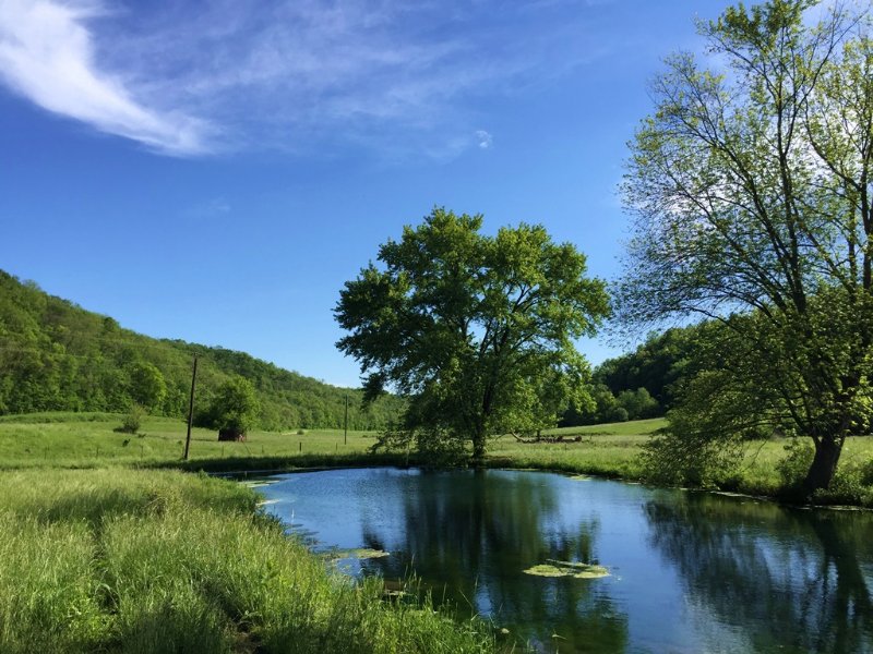 272 Acres Ag & Rec Land : Boscobel : Grant County : Wisconsin