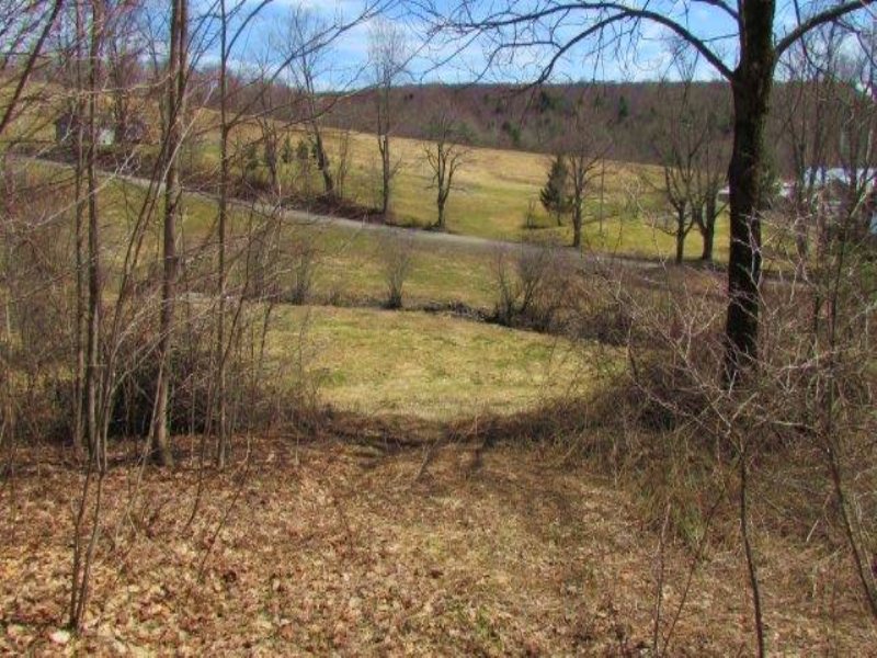 Land Near Cortland and State Forest : Solon : Cortland County : New York