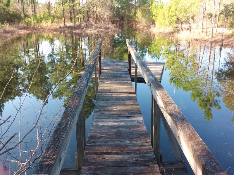 Hidden Hideaway : Brooklet : Bulloch County : Georgia