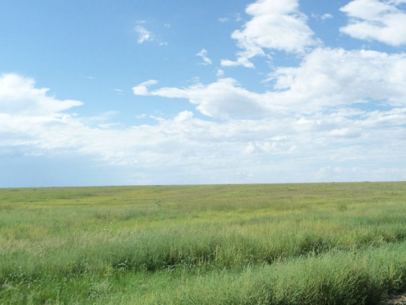 Crp : Pritchett : Baca County : Colorado