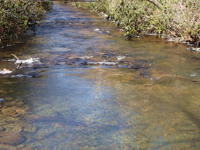Trout Stream Frontage Borders Usfs Farm for Sale in Blue Ridge
