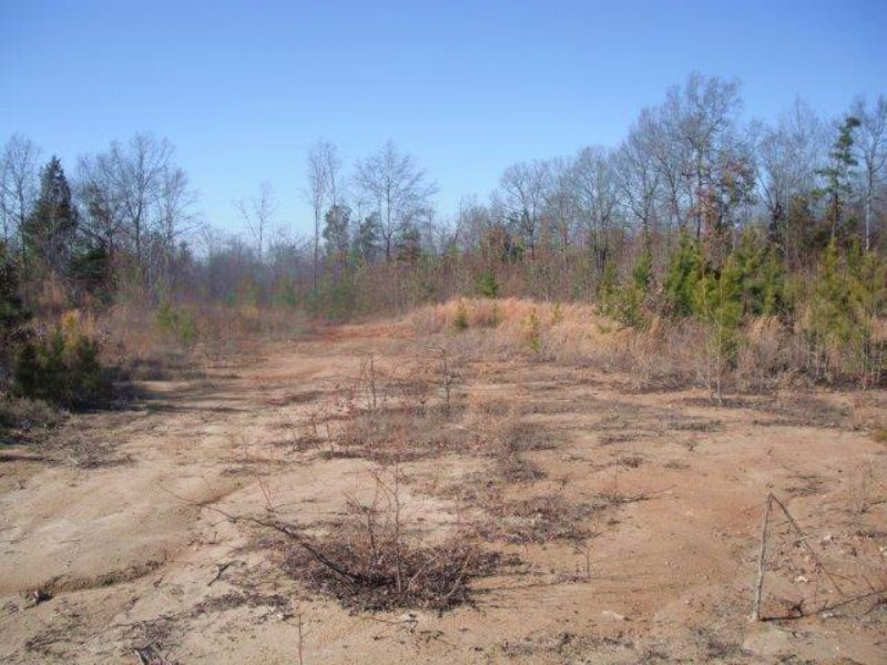 Mountain Gap Tract : Blackstock : Chester County : South Carolina
