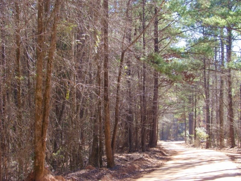 Convenient, Country Homesite : Eclectic : Elmore County : Alabama