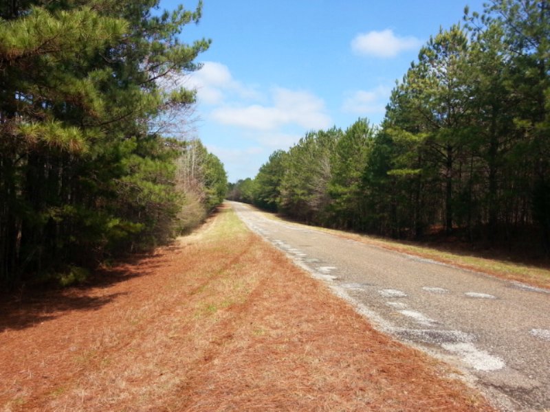 53+/- Acres Of Timberland : Fredonia : Chambers County : Alabama