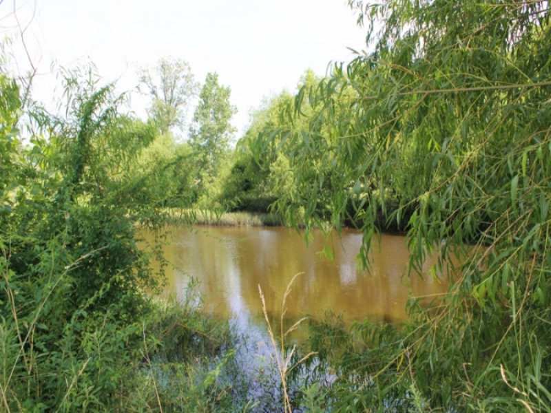 8.61 Acre McCoy Creek : Clarksville : Red River County : Texas