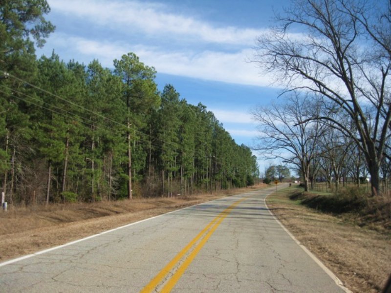 Little Ohoopee River Plantation : Swainsboro : Emanuel County : Georgia