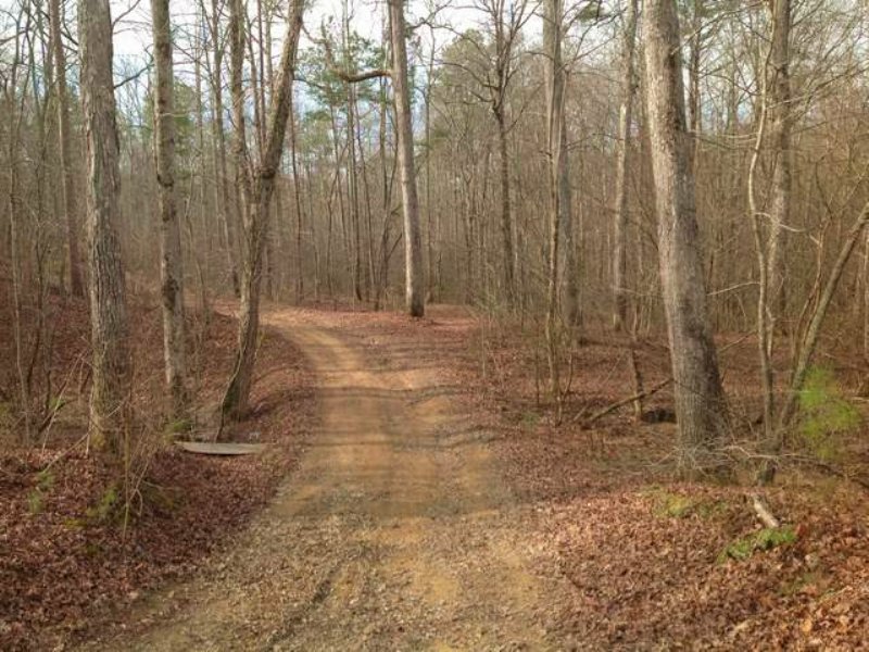 120+/- Acres Near Piedmont : Piedmont : Cherokee County : Alabama
