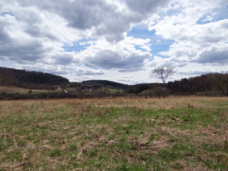 Farmland Motivated Seller : Virgil : Cortland County : New York