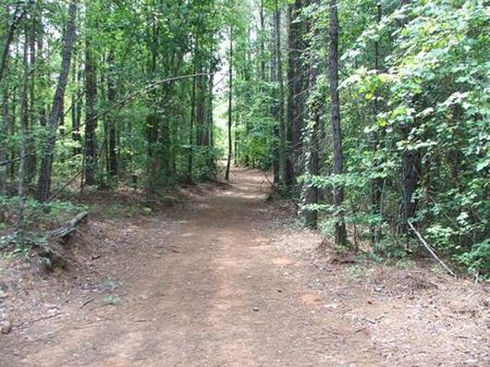 80 Acres Near Centerville : Centreville : Bibb County : Alabama