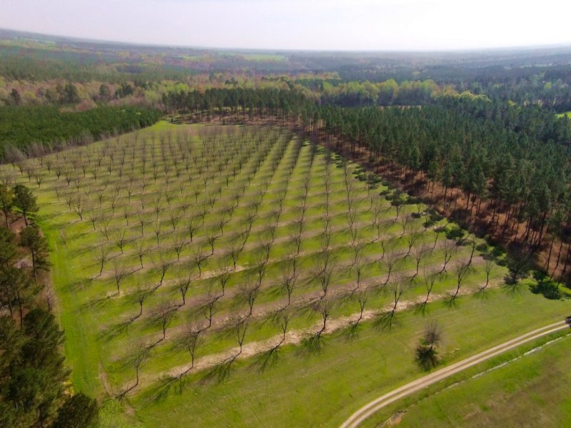 Creekland : Pavo : Thomas County : Georgia
