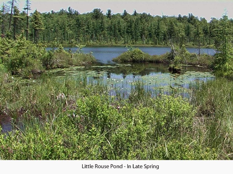 67 Acres W/ Deepwater Glacial Lake, Farm for Sale by Owner in