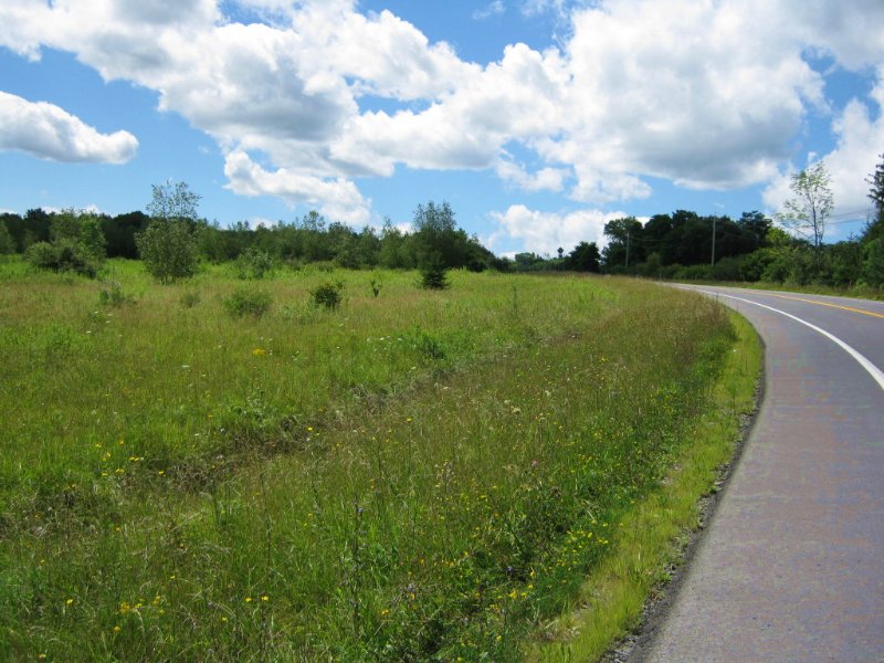 Building Lot Near Ithaca : Hector : Schuyler County : New York