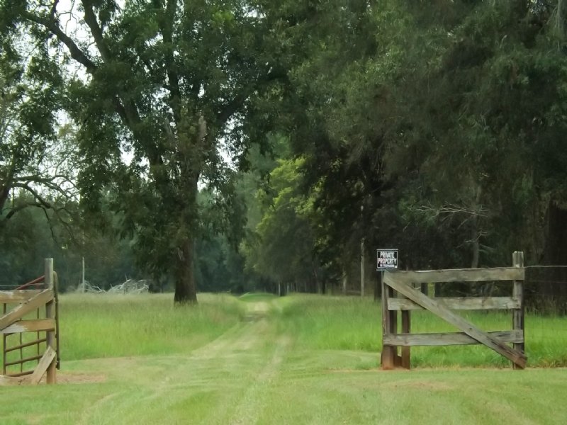 Plantation Country Farm for Sale in Albany, Dougherty County,