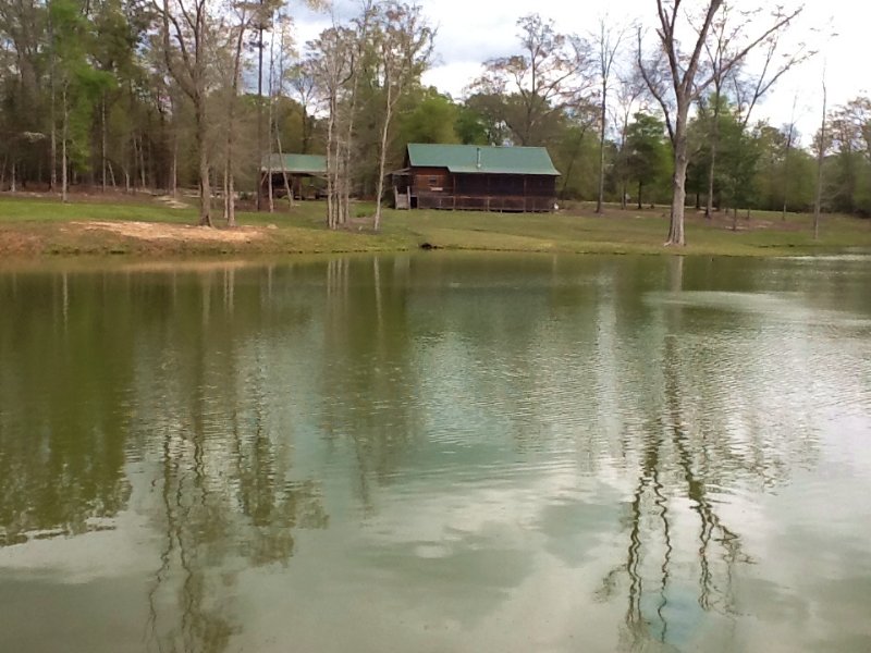 Hillier Cabin, Pond and Land : Brantley : Crenshaw County : Alabama