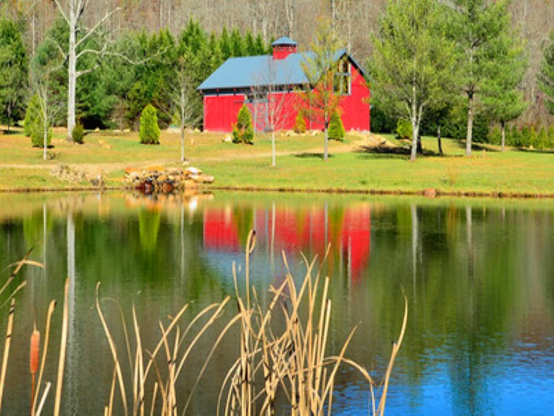Betty's Creek Farm : Rabun Gap : Rabun County : Georgia
