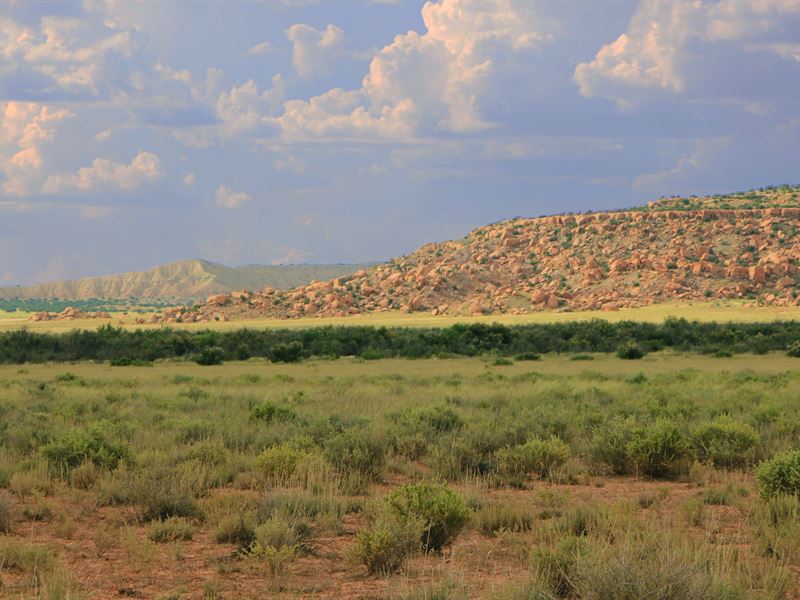No AZ Wilderness Ranch $193 Month : Saint Johns : Apache County : Arizona