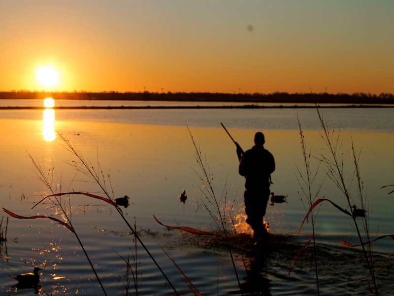 Durmott Green Timber Duck Hunting, Farm for Sale in Arkansas, 88694