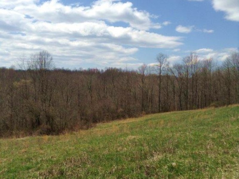 Roberts Rd 31 Acres, Farm for Sale in Ohio, 89252 FARMFLIP