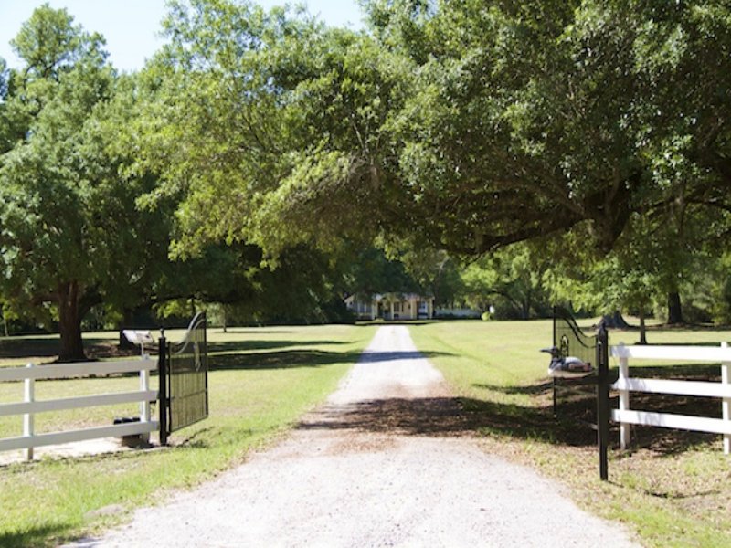 Oakridge Plantation Farm for Sale in Green Pond, Colleton County