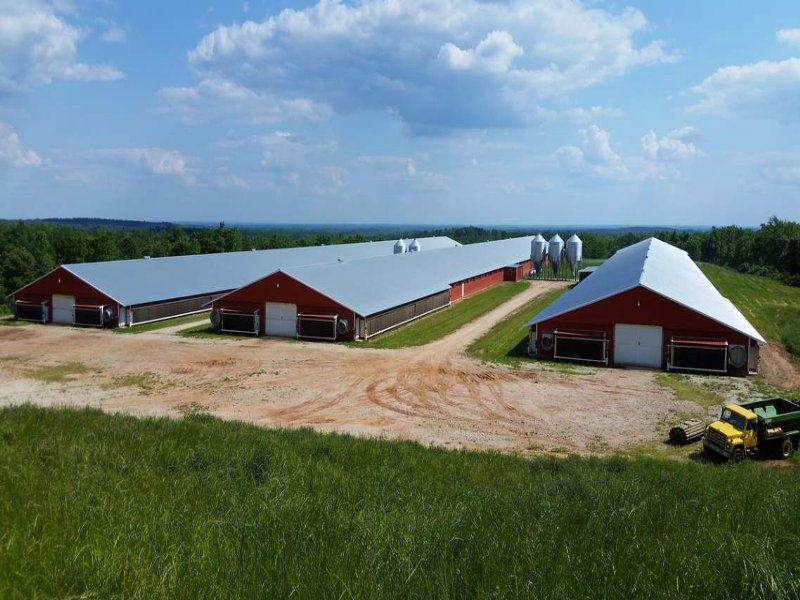 3-mega House Broiler Farm On 36 Ac : Roanoke : Randolph County : Alabama