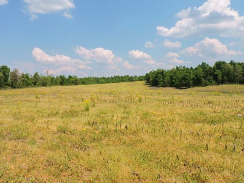 Houses For Sale Larue County Ky 50+/- Acres : Farm for Sale in Hodgenville, Larue County, Kentucky